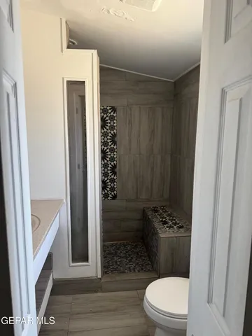 a bathroom with a sink a toilet a shower and a mirror