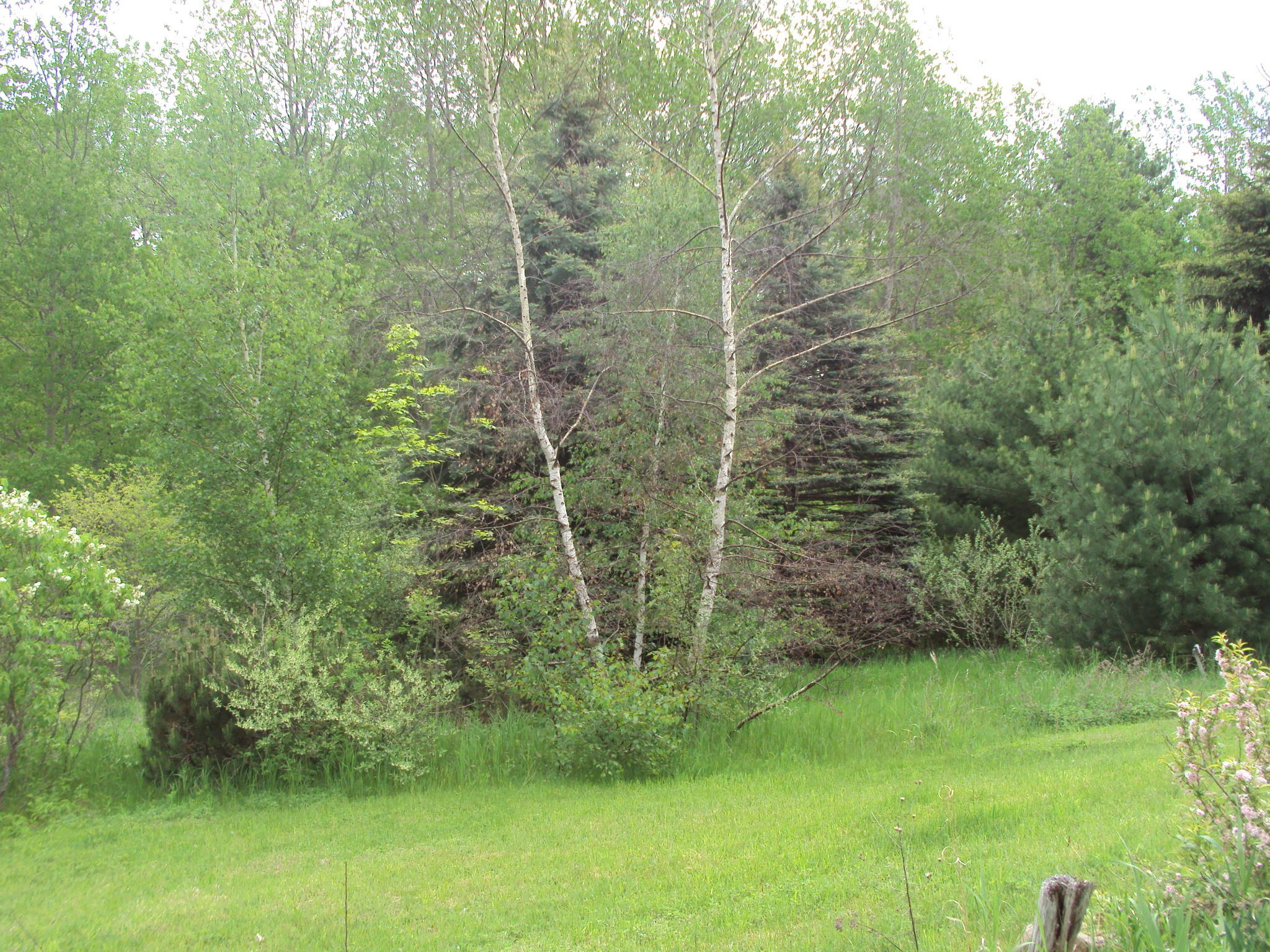 3480 Bowman Road Alanson, MI 49706 - Photo 28 of 36 Gallery Image 28