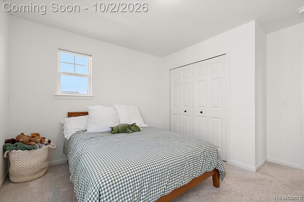71471 Julius Drive Romeo, MI 48065 - Photo 41 of 47 Gallery Image 41