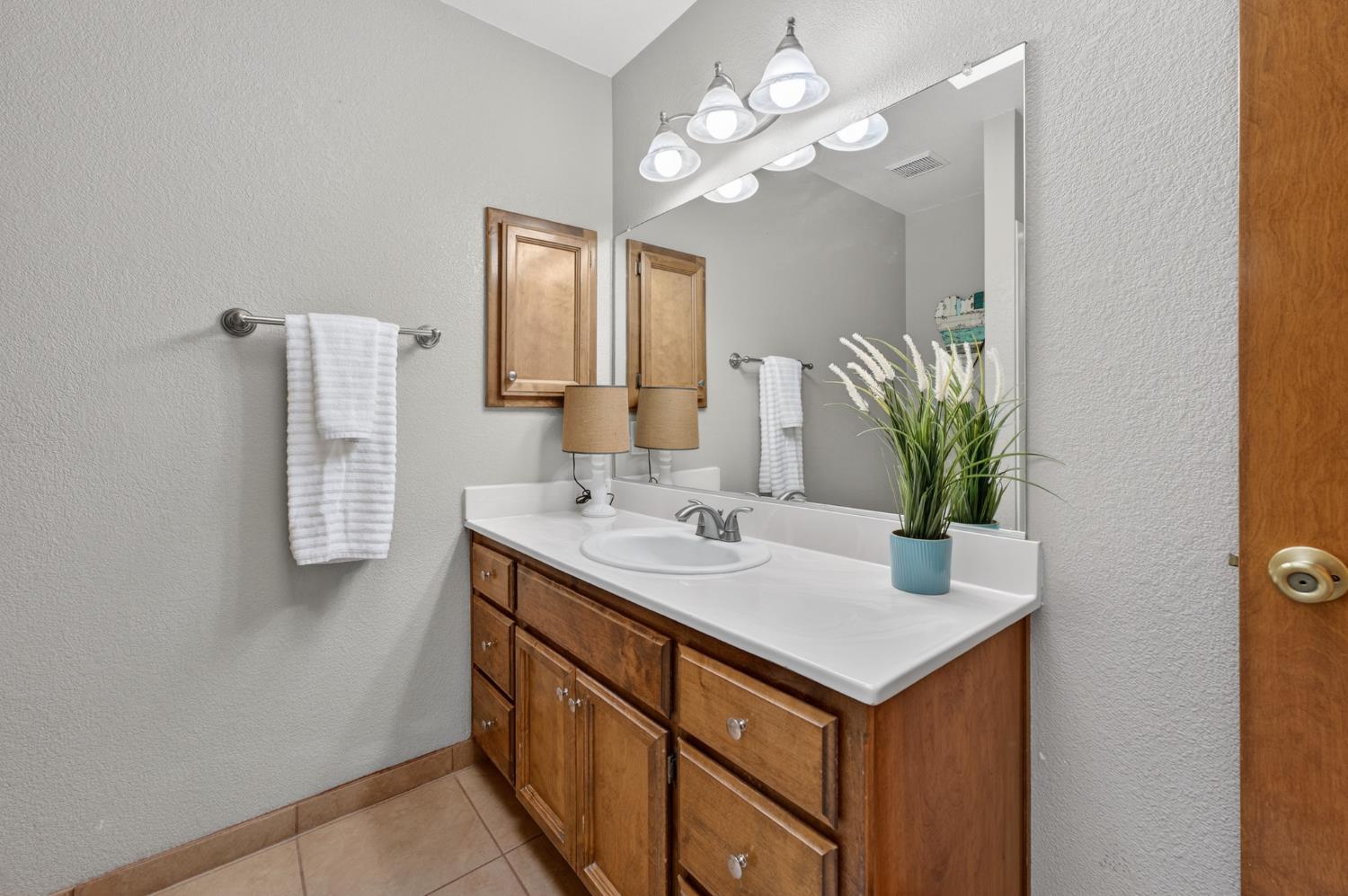 10919 Alta Mesa Road Wilton, CA 95693 - Photo 28 of 66 a bathroom with a sink a light fixture and a mirror