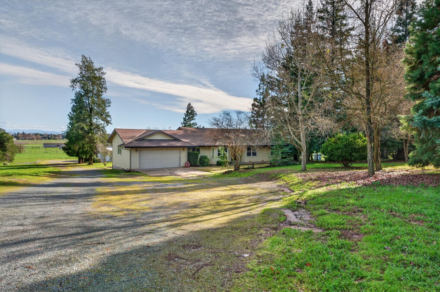 10919 Alta Mesa Road Wilton, CA 95693 - Photo 3 of 66 a view of a house with a big yard and palm trees
