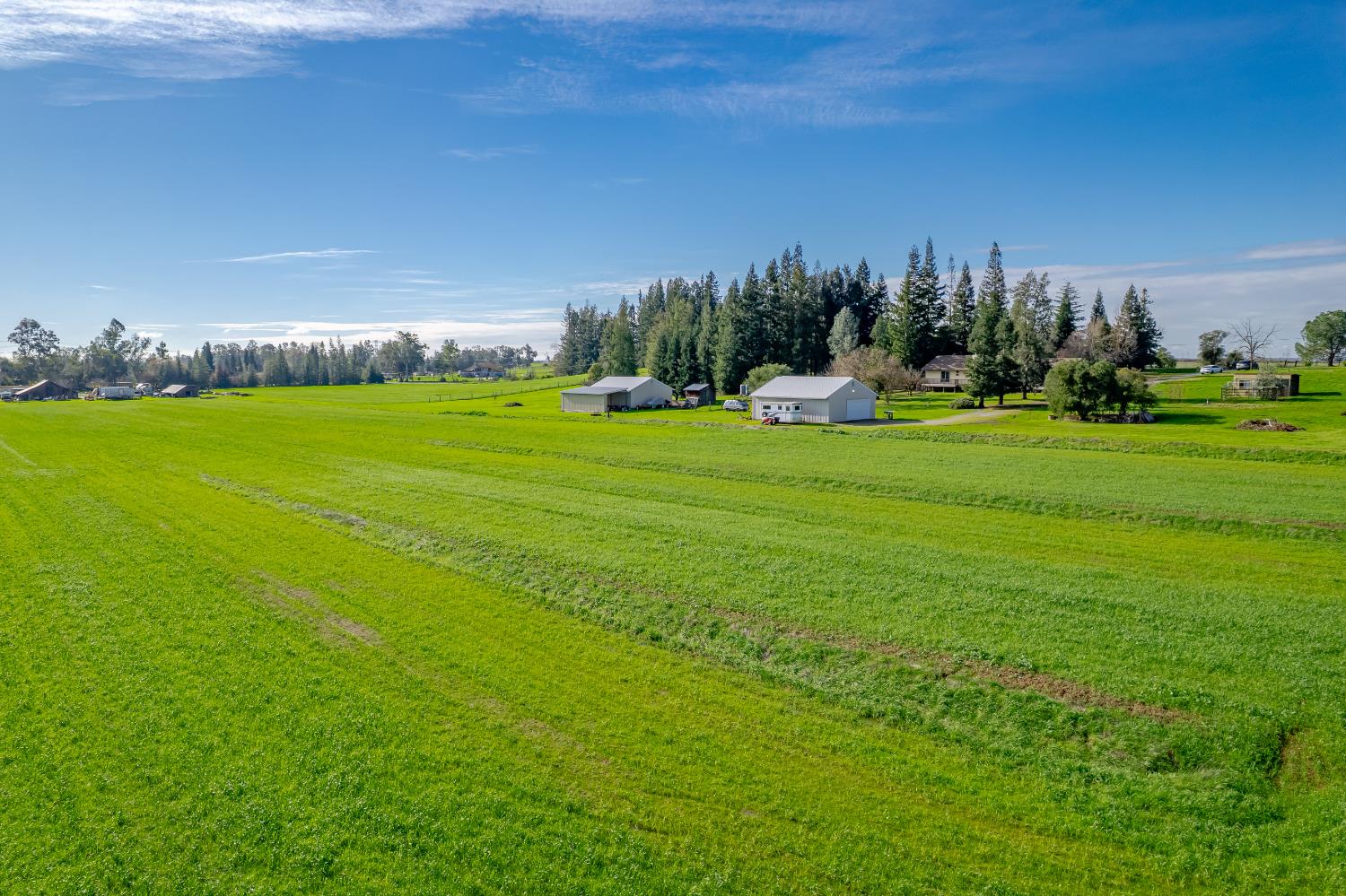 10919 Alta Mesa Road Wilton, CA 95693 - Photo 59 of 66 a view of a golf course with green space
