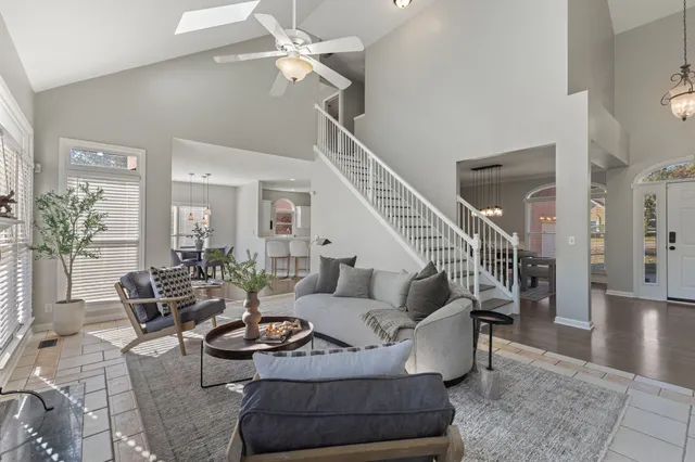 a living room with furniture potted plant and a ceiling fan