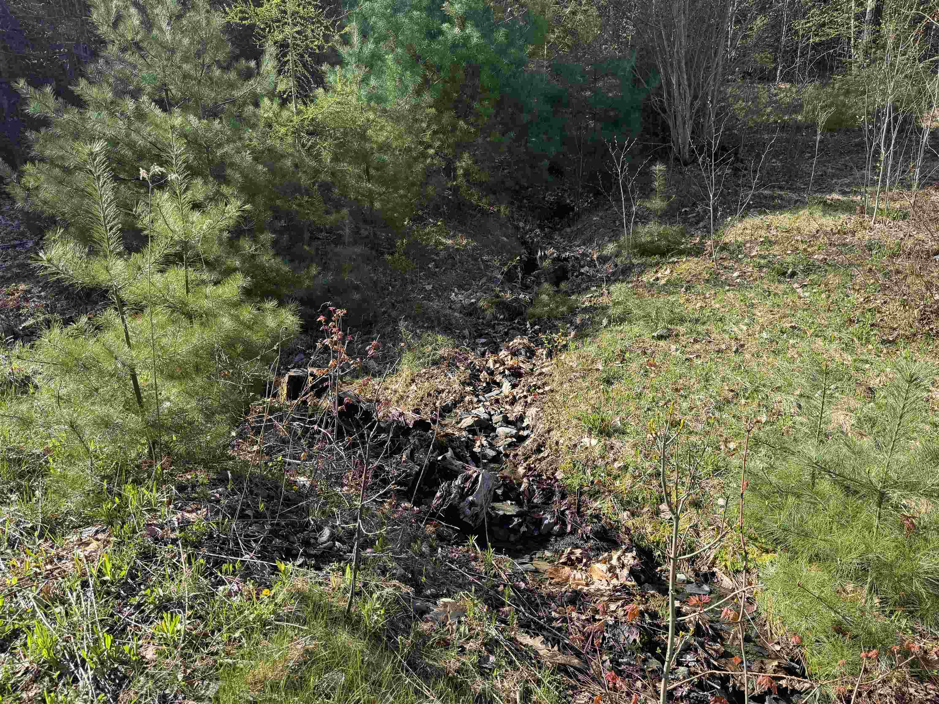 807 Kidder Hood Road Bradford, VT 05033 - Photo 10 of 21