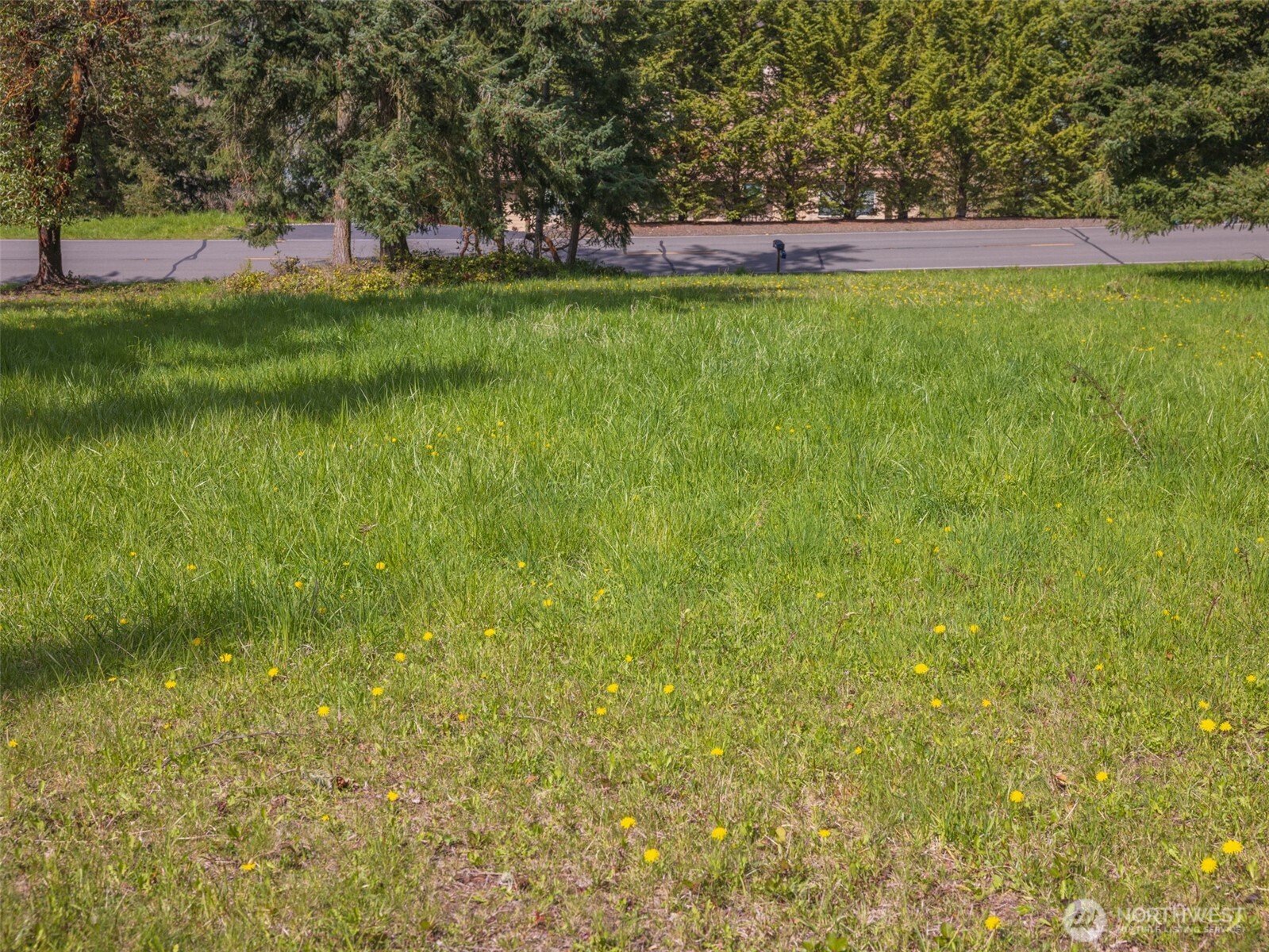 999999 Fox Hollow Road Sequim, WA 98382 - Photo 6 of 18 a view of yard with grass and trees
