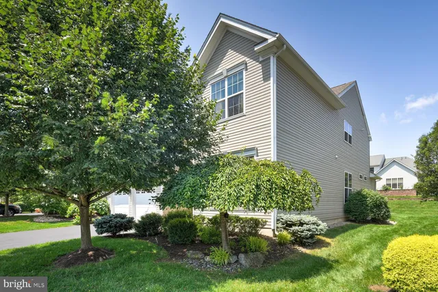 a view of backyard with a garden and plants