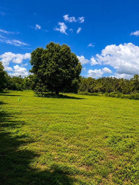 3230 Saturn Road Brooksville, FL 34604 - Photo 6 of 10 Gallery Image 6