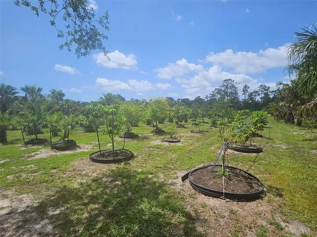 a swimming pool with a yard and plants
