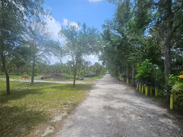 a view of a yard with a tree