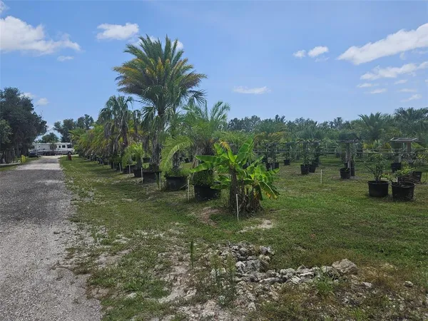 a view of a garden