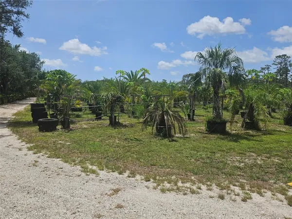 a view of a yard with a tree