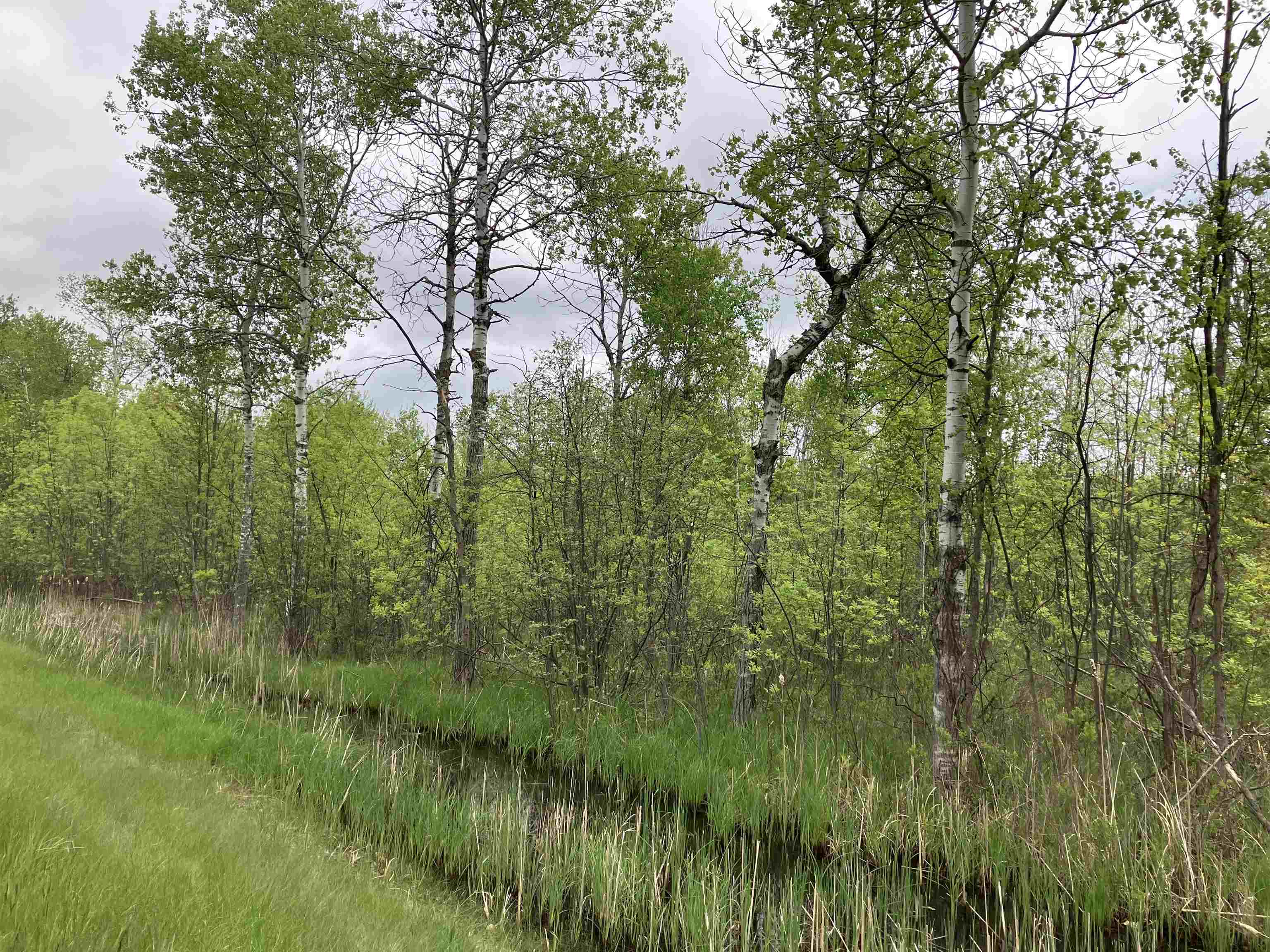 3.96-acres West Isabella Road Midland, MI 48640 - Photo 5 of 9