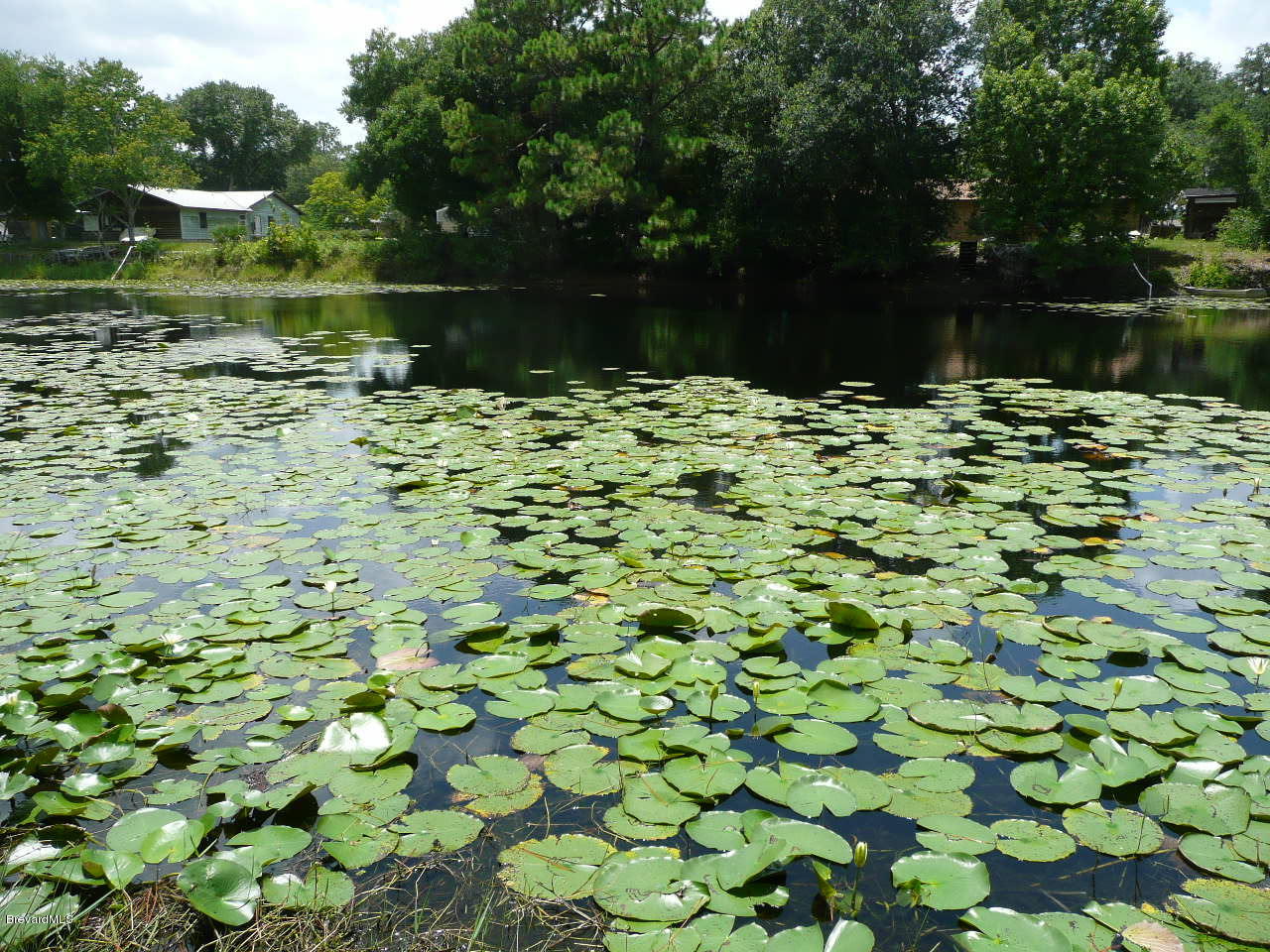 1974 Turpentine Road, Unit 32754 Mims, FL 32754 - Photo 12 of 42 P1080344
