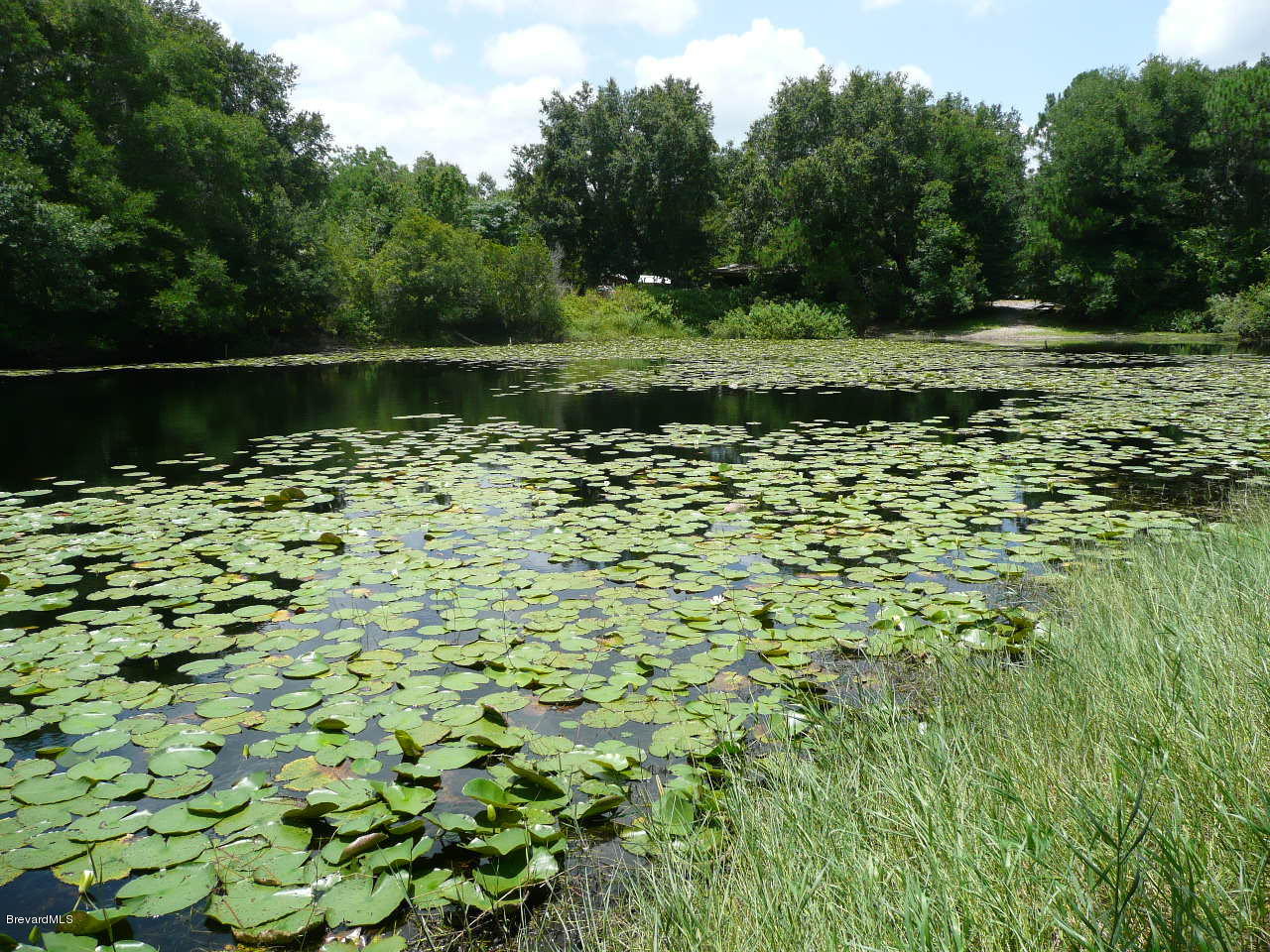 1974 Turpentine Road, Unit 32754 Mims, FL 32754 - Photo 13 of 42 P1080345