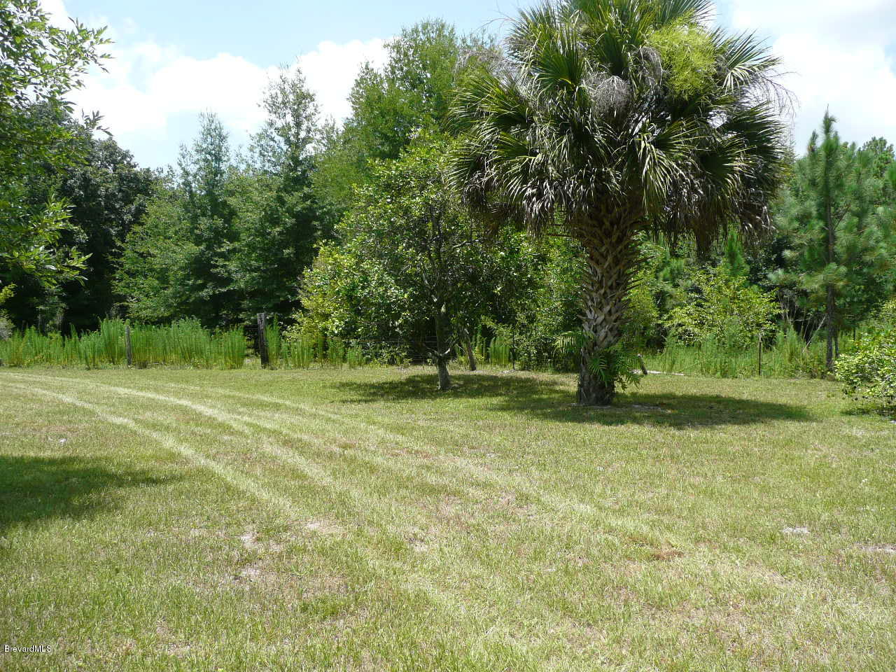1974 Turpentine Road, Unit 32754 Mims, FL 32754 - Photo 8 of 42 P1080337