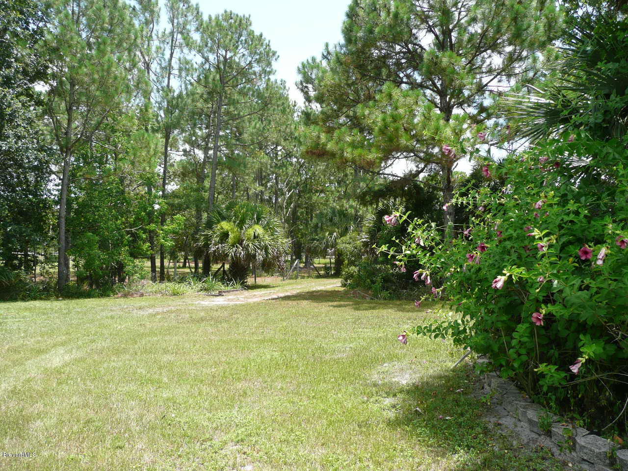 1974 Turpentine Road, Unit 32754 Mims, FL 32754 - Photo 9 of 42 P1080338