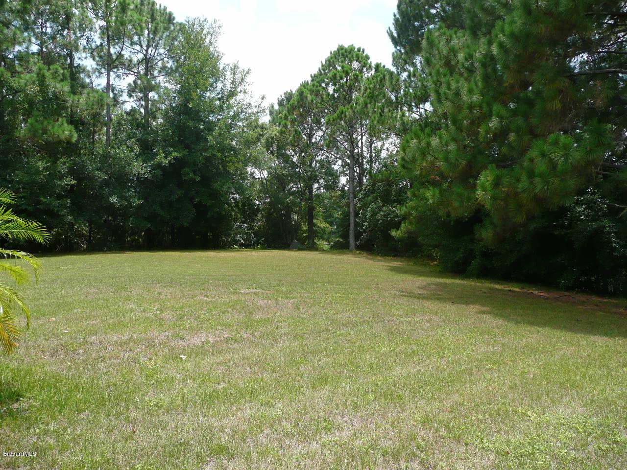 1974 Turpentine Road, Unit 32754 Mims, FL 32754 - Photo 10 of 42 P1080340