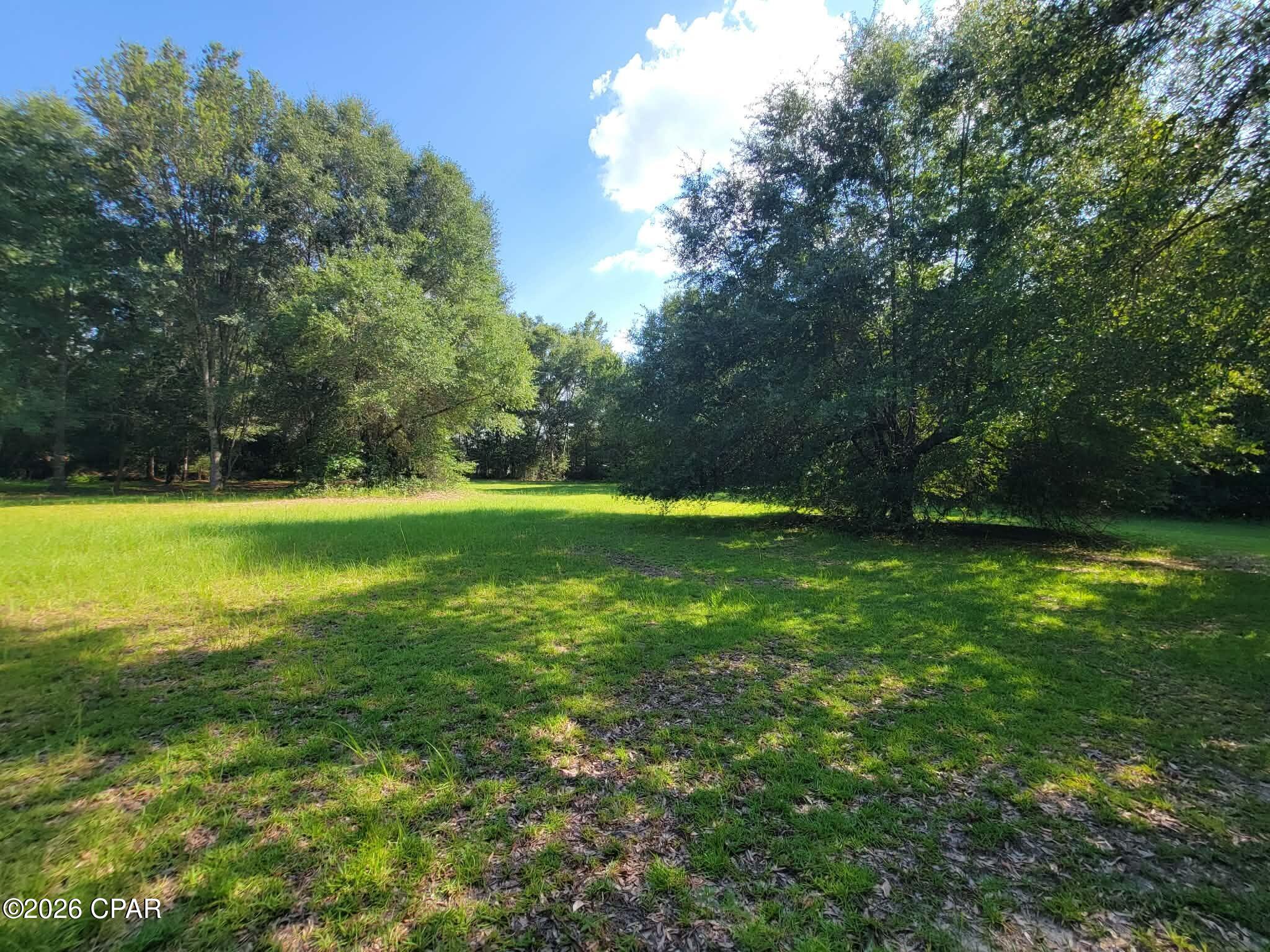 0 Ditty Road Bascom, FL 32423 - Photo 31 of 34