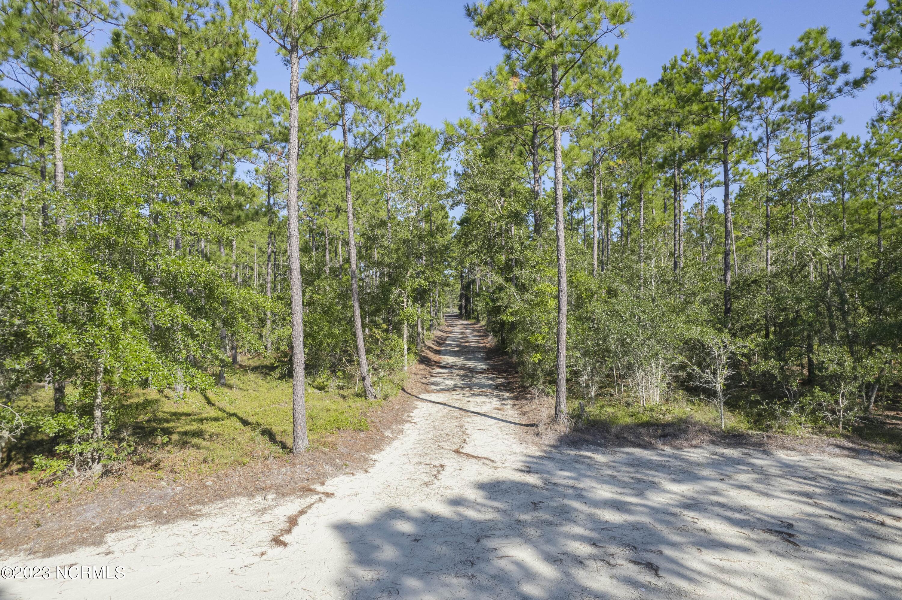 Lot 6 Nesting Hen Court Rocky Point, NC 28457 - Photo 5 of 39 6