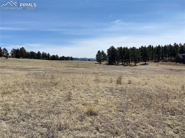 688 High Pasture Road Florissant, CO 80816 - Photo 13 of 18 Build spot