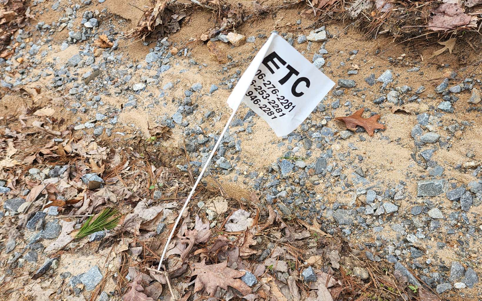 2-lot 2-lot Quail Ridge Road Epworth, GA 30541 - Photo 3 of 4 Additional View