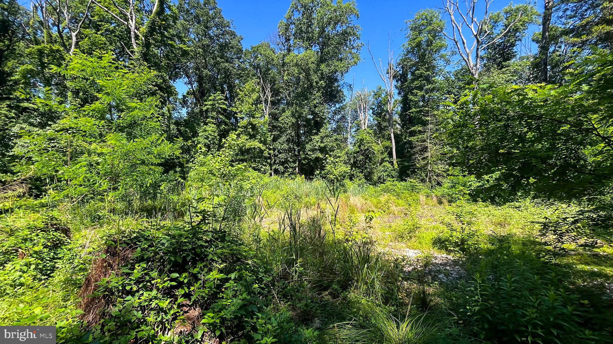 Lot 17 Vinter Lane Pasadena, MD 21122 - Photo 17 of 42 a view of yard with green space