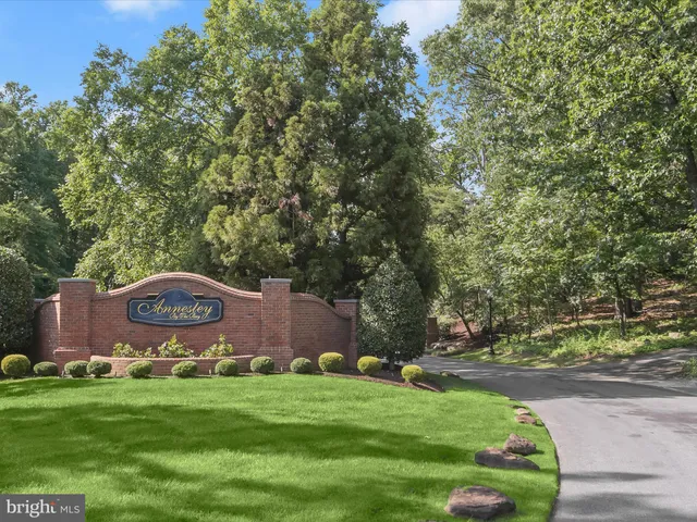 a view of a big yard