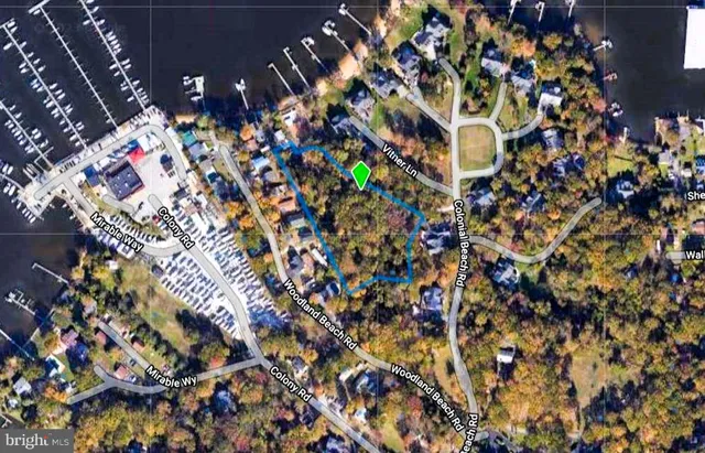 a picture of flowers