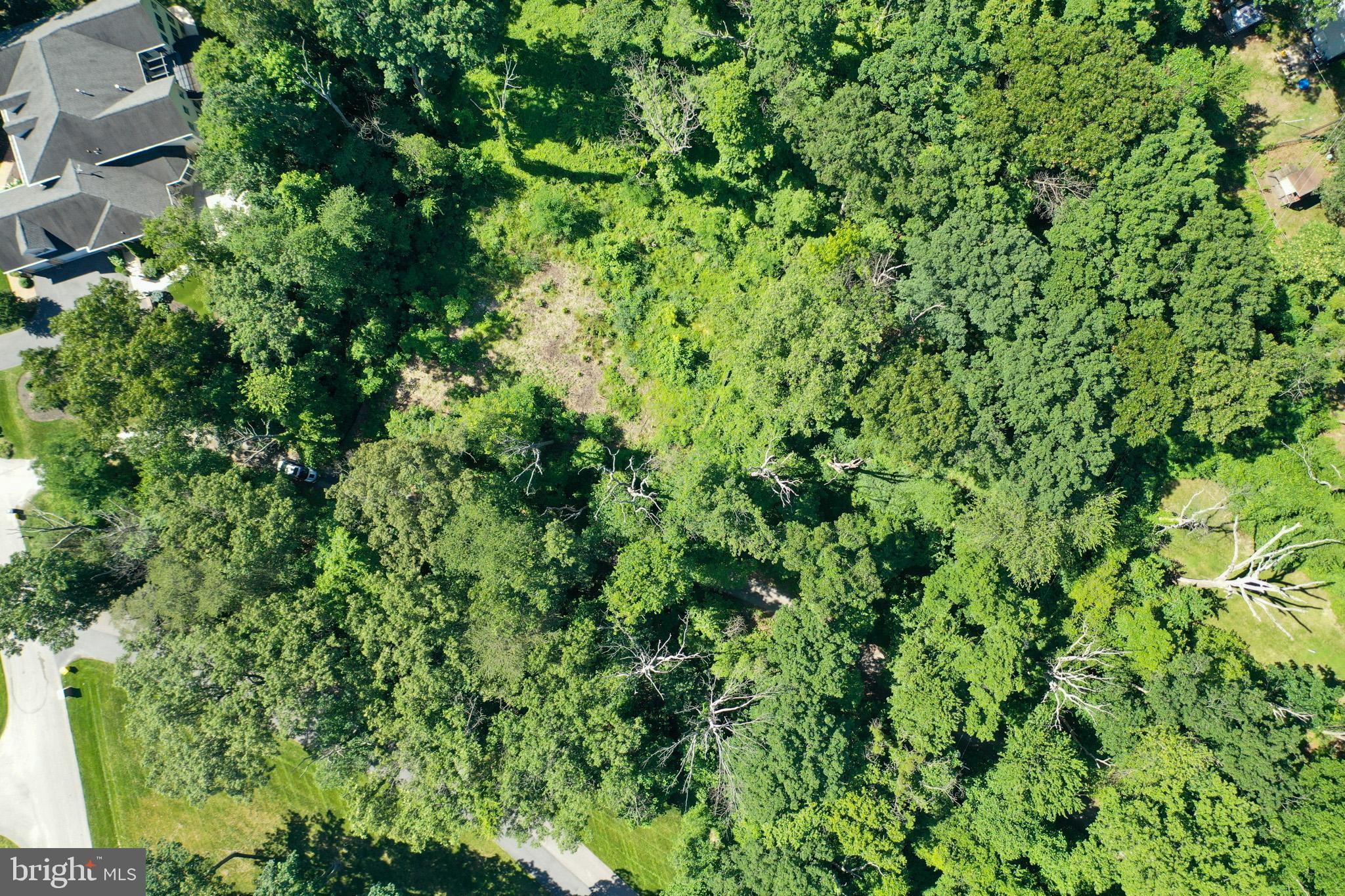 Lot 17 Vinter Lane Pasadena, MD 21122 - Photo 42 of 42 a view of a lush green forest with lots of trees