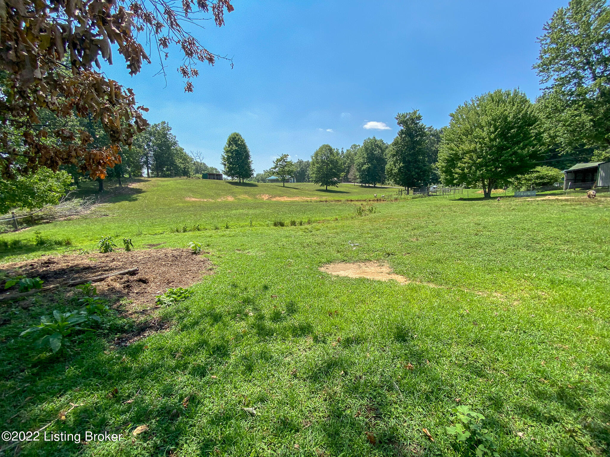 935 Frontage Road Leitchfield, KY 42754 - Photo 53 of 96 View of back yard
