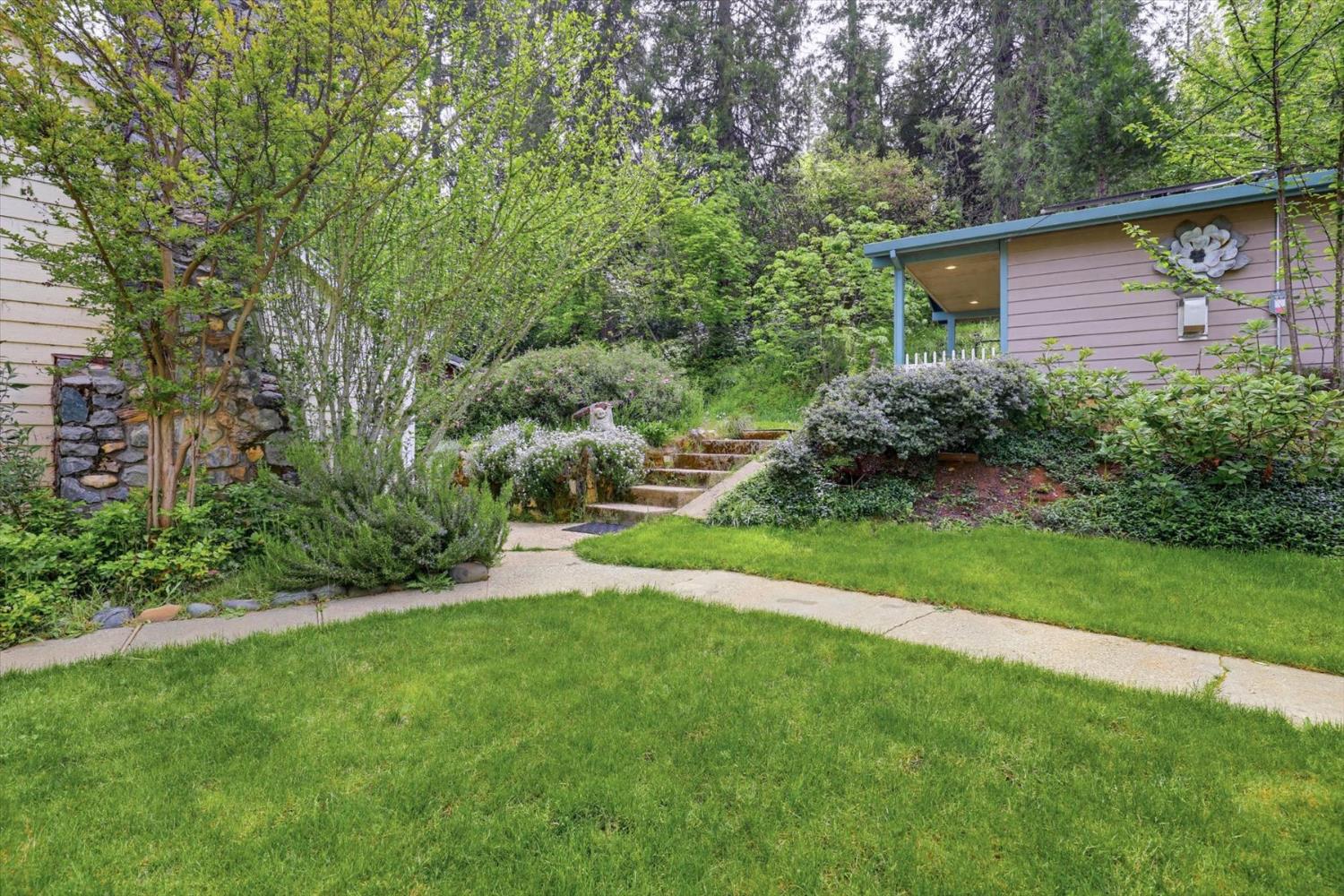 749 Gold Flat Road Nevada City, CA 95959 - Photo 12 of 60