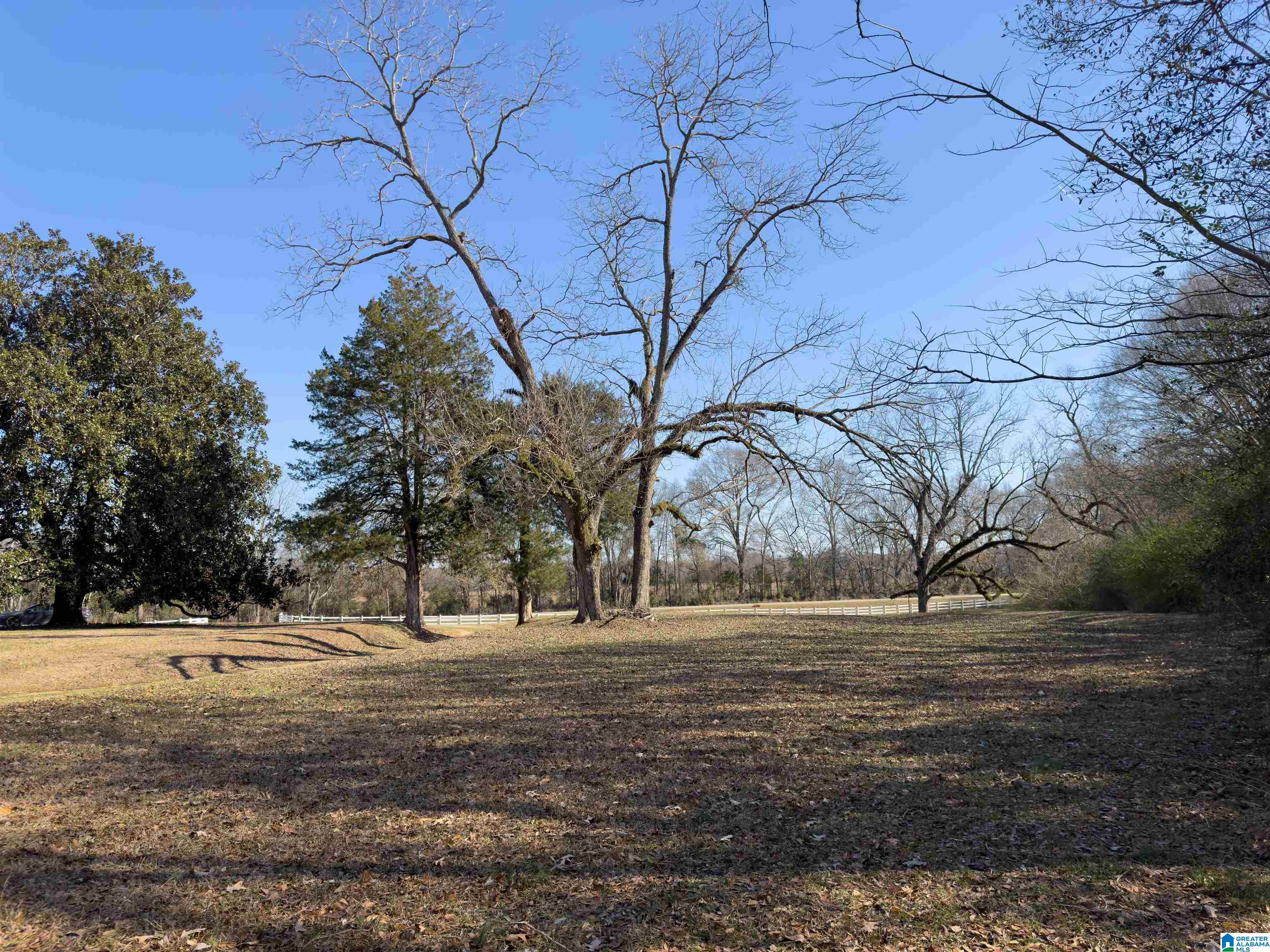 4366 County Road 45 Marion Junction, AL 36759 - Photo 36 of 41