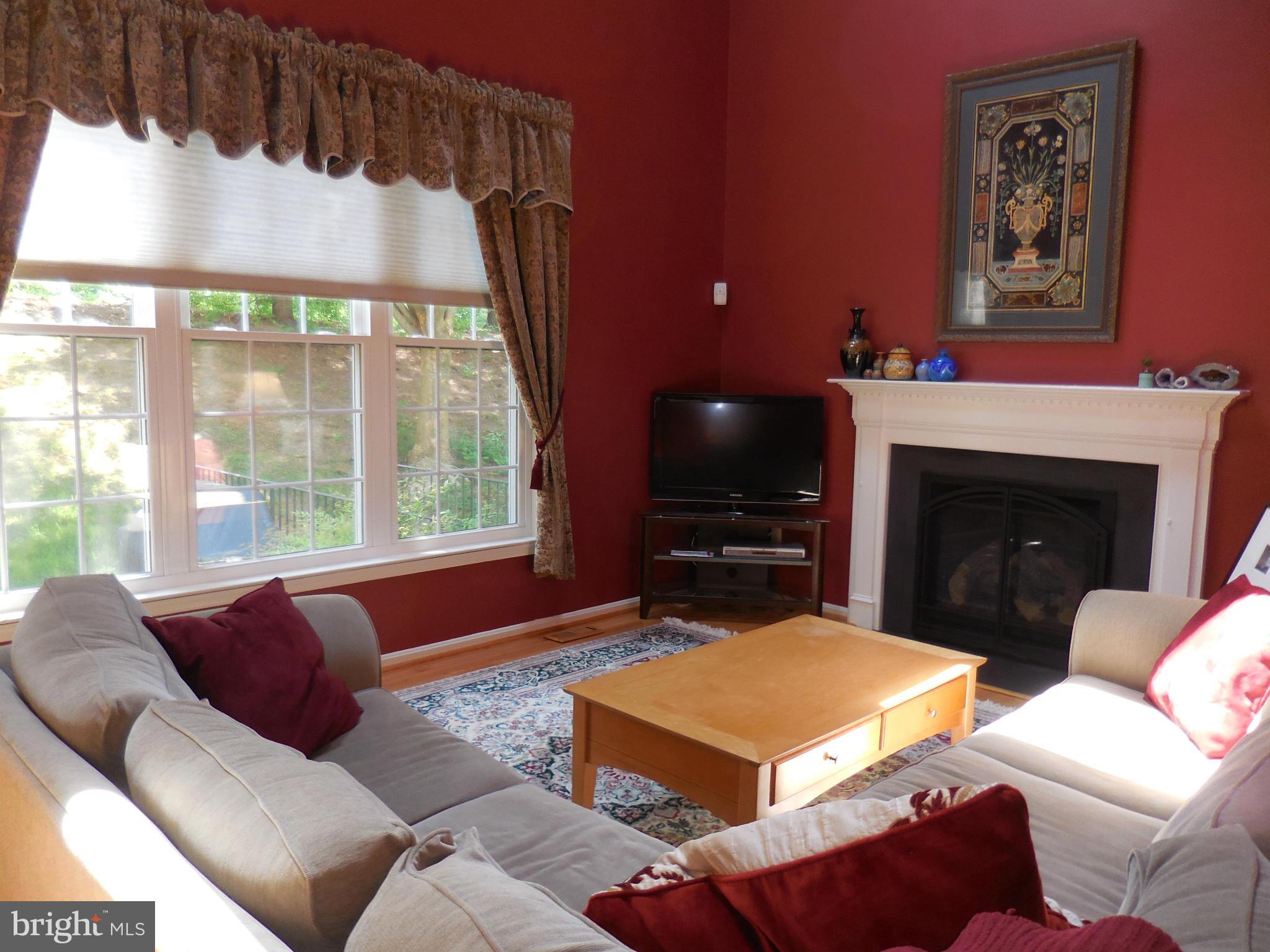 6474 Empty Song Road Columbia, MD 21044 - Photo 11 of 30 Family Room With Vaulted Ceiling