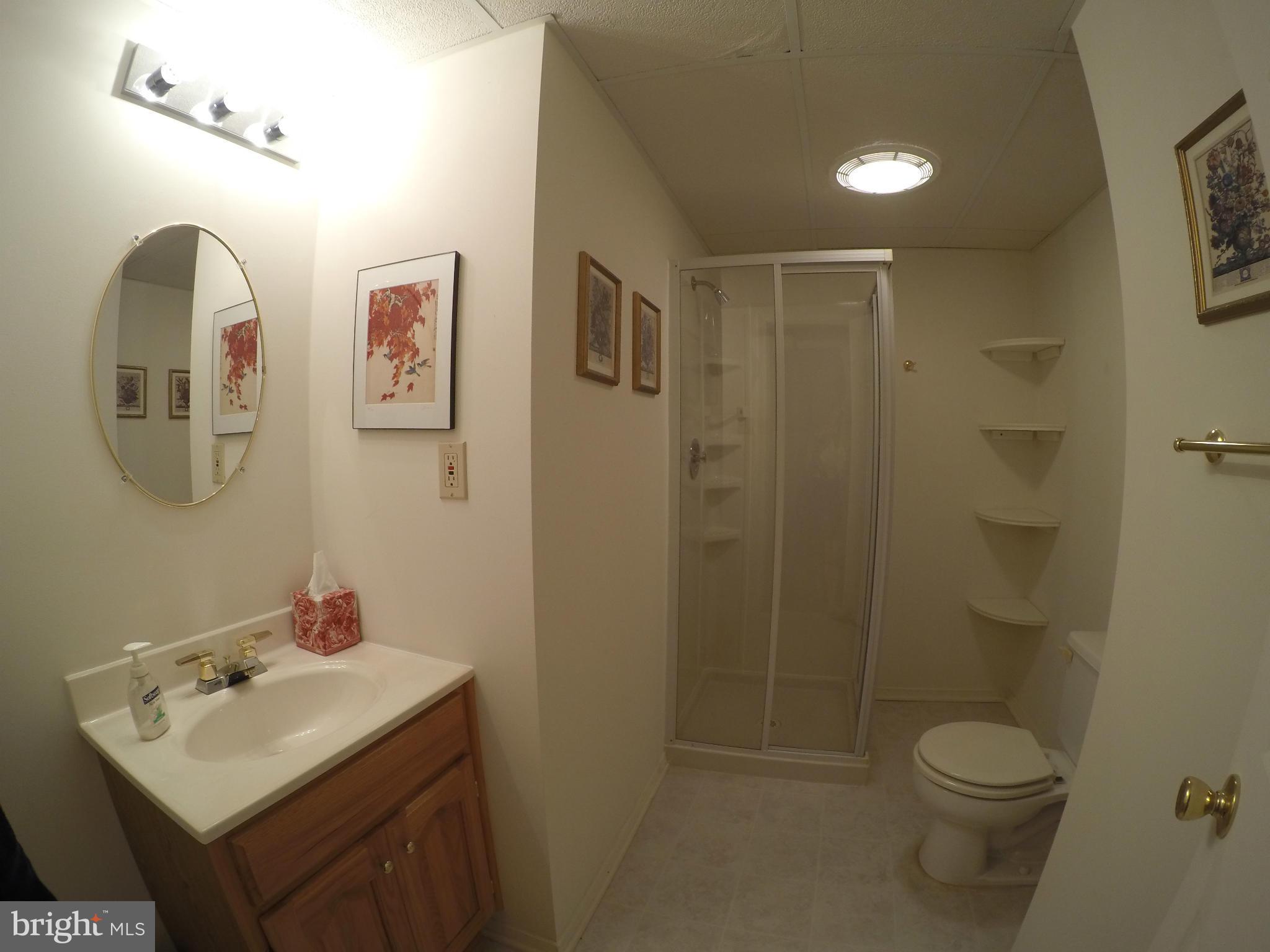6474 Empty Song Road Columbia, MD 21044 - Photo 27 of 30 Full Bathroom on Lower Level