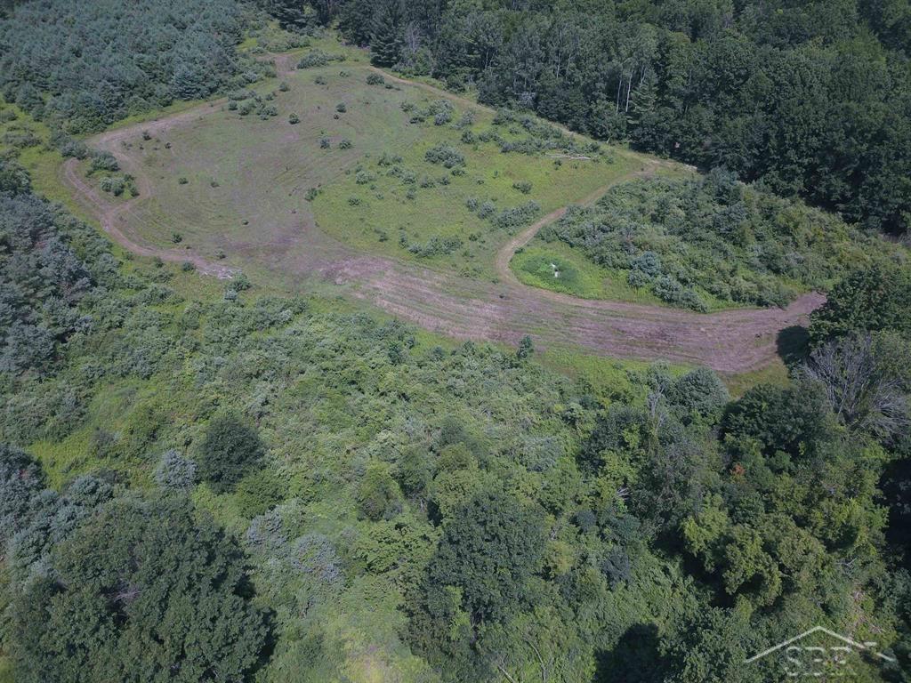 Vl West Quarter Line Road Coleman, MI 48618 - Photo 26 of 28