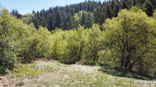 $139,900 | Lot 9 North Whispering Pines Road, Pocatello, ID 83201