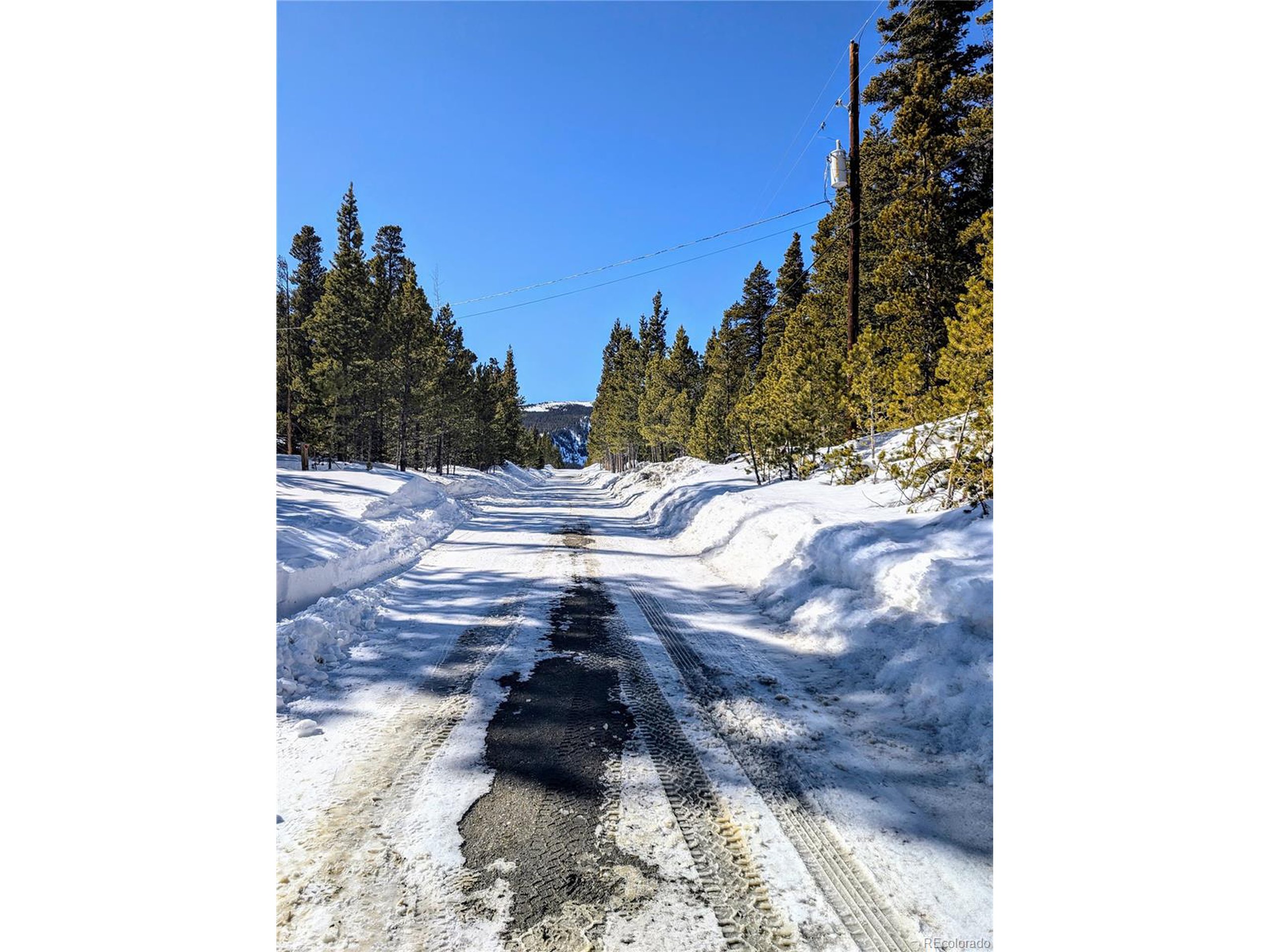 234 Alice Road Idaho Springs, CO 80452 - Photo 2 of 20 a view of a dry yard with trees in front of it