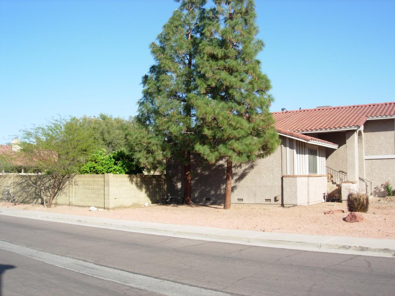 2102 East Redfield Road Phoenix, AZ 85022 - Photo 23 of 23 23