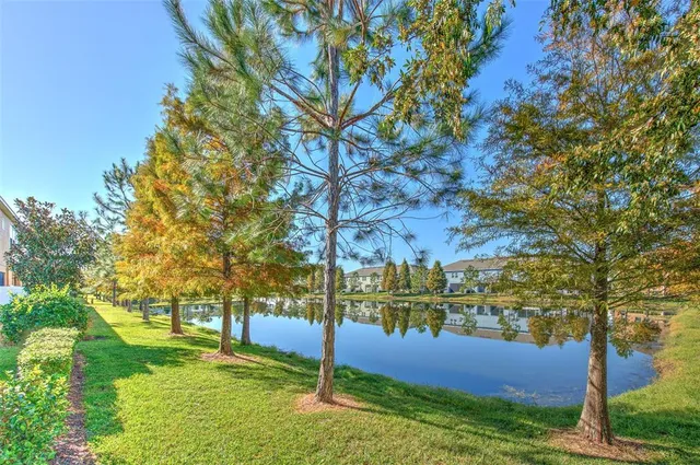 a view of yard with tree