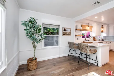 a living room with furniture and potted plant