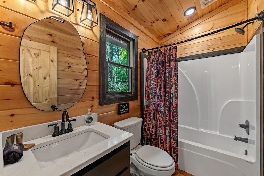 25 Hidden Ridge Cherry Log, GA 30522 - Photo 44 of 52 a bathroom with a sink a toilet and shower
