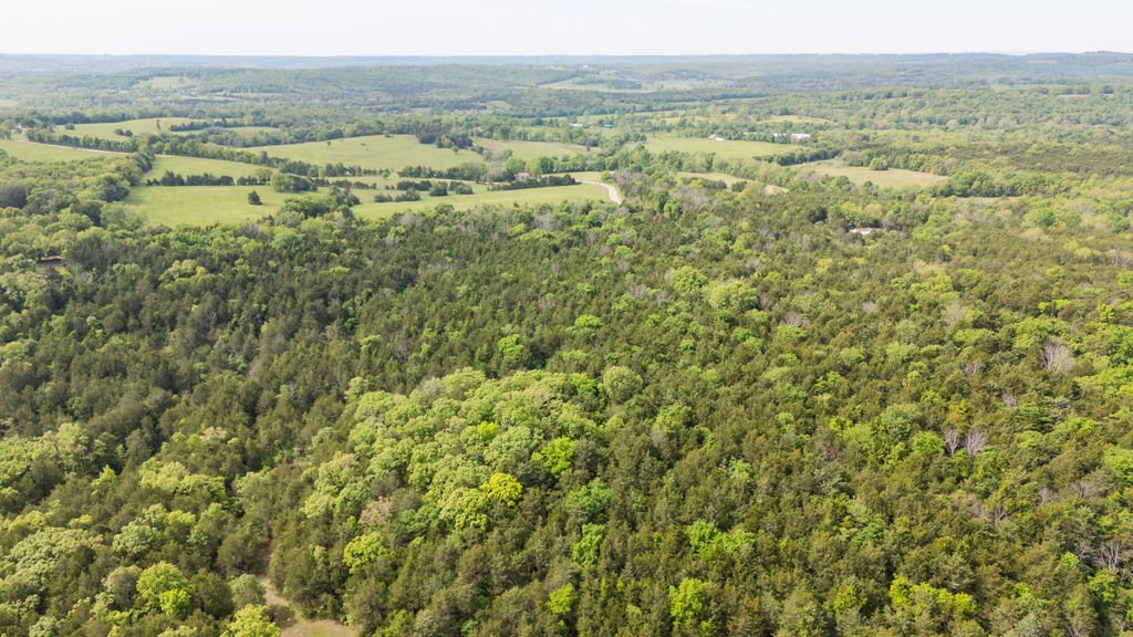 1 Horseshoe Bnd Road Lead Hill, AR 72644 - Photo 15 of 46 Expansive wooded acreage featuring a mix of mature trees and open clearings