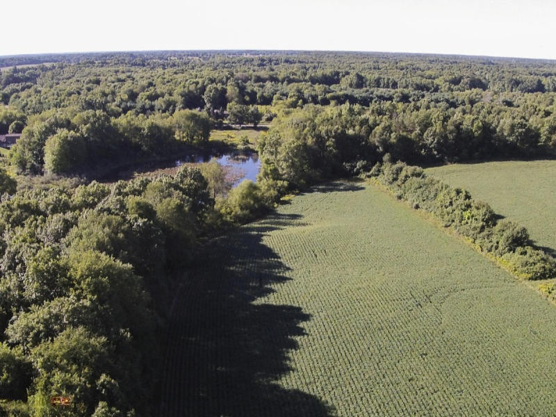 Floria Road Delton, MI 49046 - Photo 14 of 16 fl11