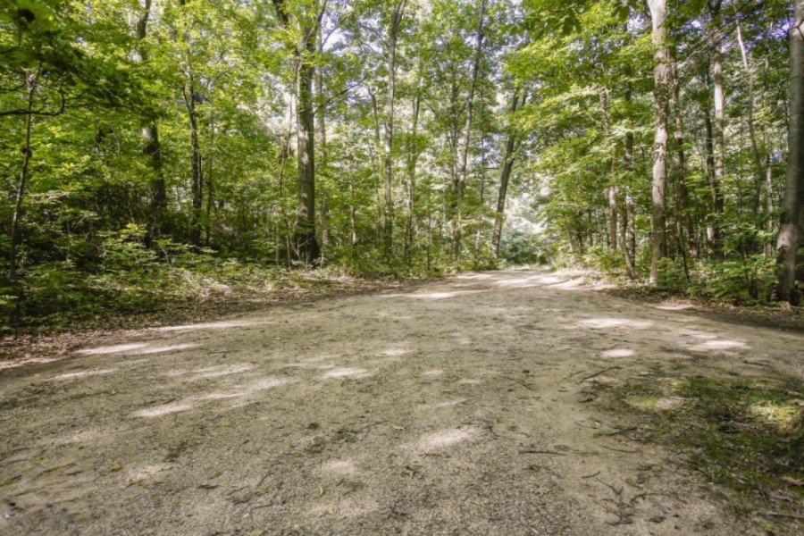 Floria Road Delton, MI 49046 - Photo 8 of 16 fl5