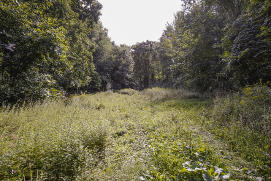Floria Road Delton, MI 49046 - Photo 9 of 16 fl6