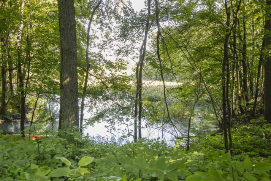Floria Road Delton, MI 49046 - Photo 10 of 16 fl7