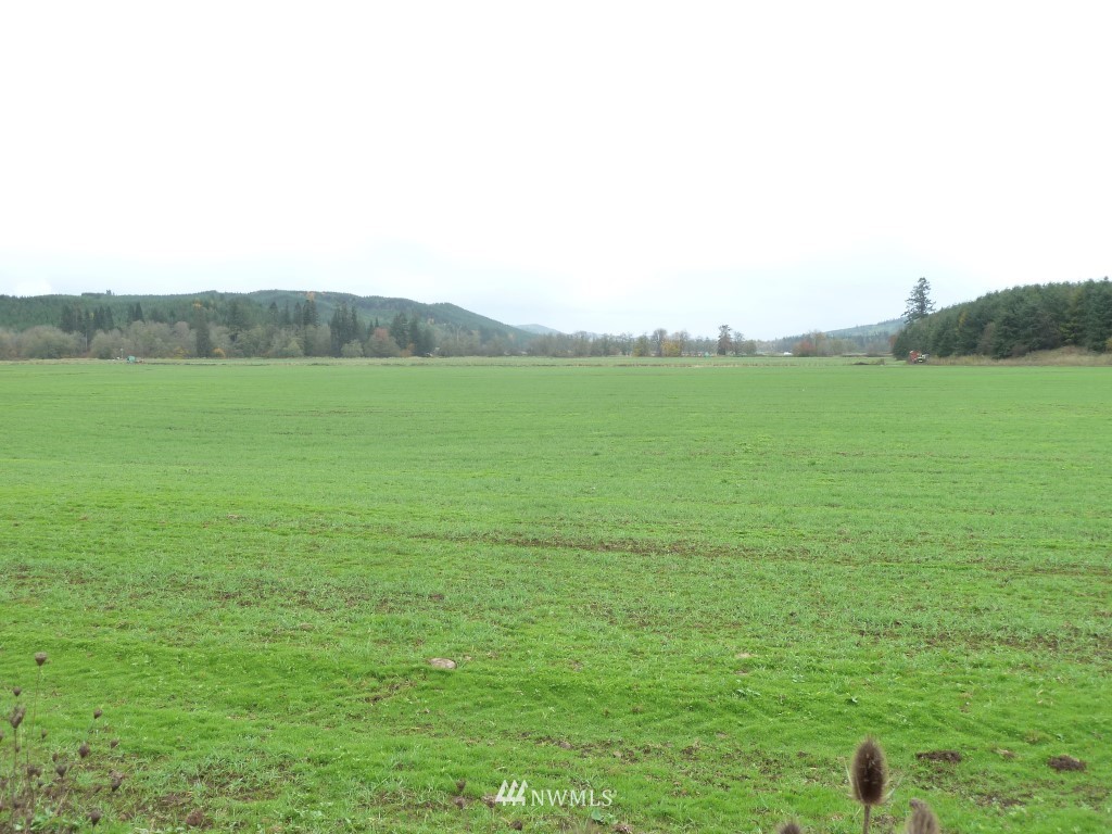 2322 Wildwood Road Curtis, WA 98538 - Photo 2 of 24 Gallery Image 2