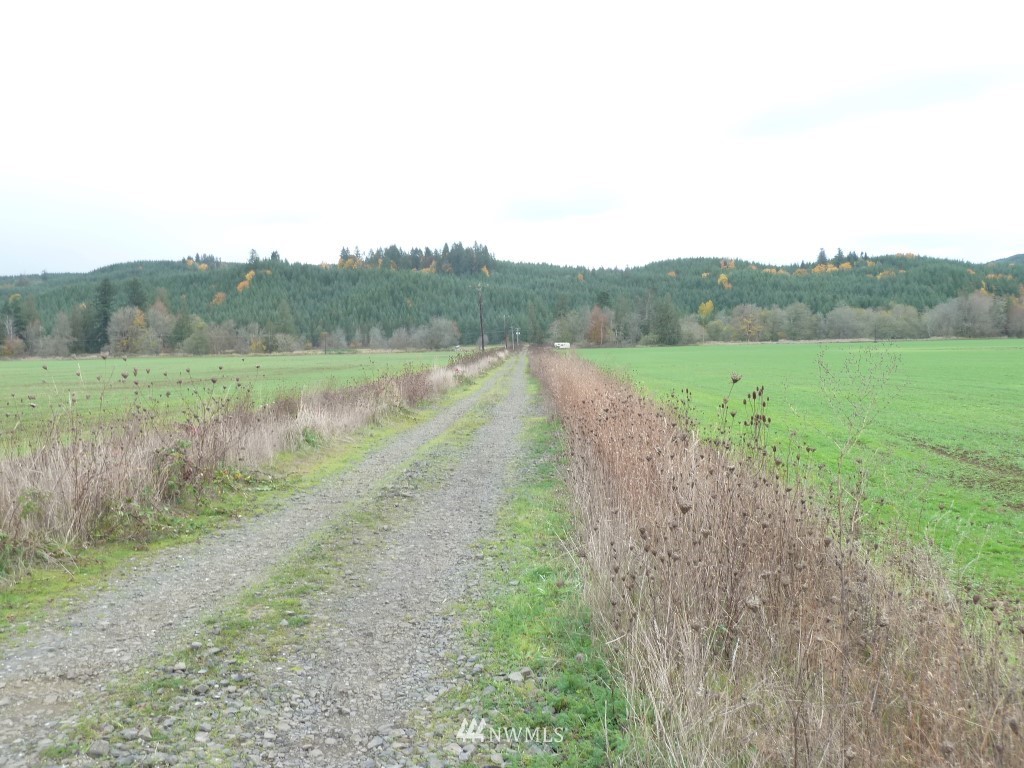 2322 Wildwood Road Curtis, WA 98538 - Photo 3 of 24 Gallery Image 3