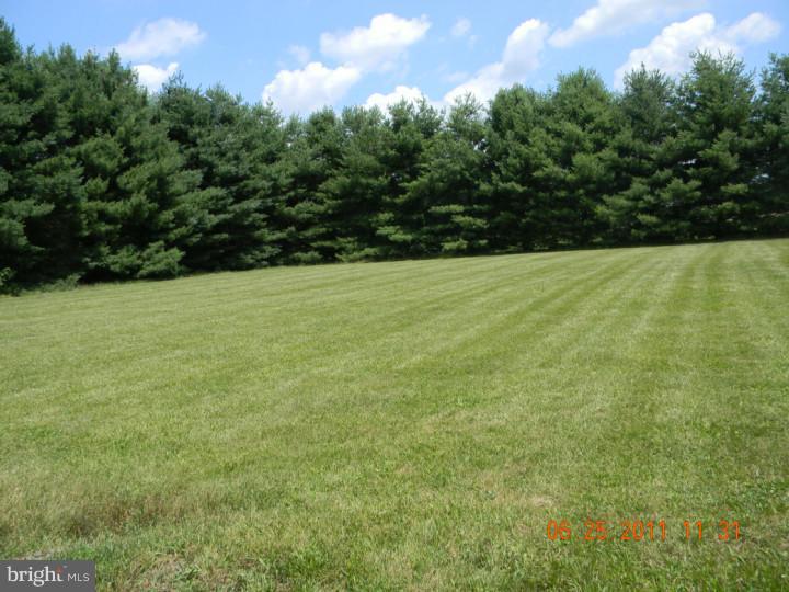 173 Bordentown Georgetown Road Chesterfield, NJ 08515 - Photo 23 of 24 Back Yard