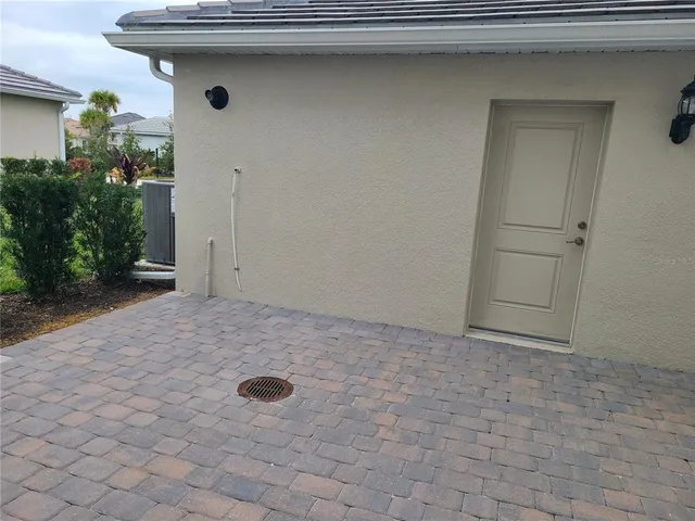 a view of a swimming pool with a lawn chairs and palm tree